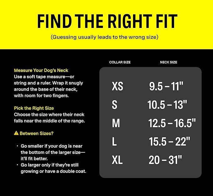 Fi Series 3 Smart Dog Collar - GPS Dog Tracker and Activity & Health Monitor, Waterproof, LED Light, Escape Alerts, Nationwide Coverage [Free 1 Year Membership] (Yellow, Large)