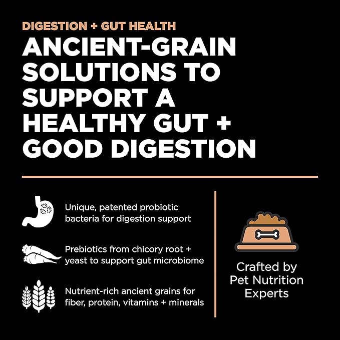 Go! Solutions Digestion + Gut Health, Dry Dog Food, Salmon Recipe with Ancient Grains, 3.5 lb Bag