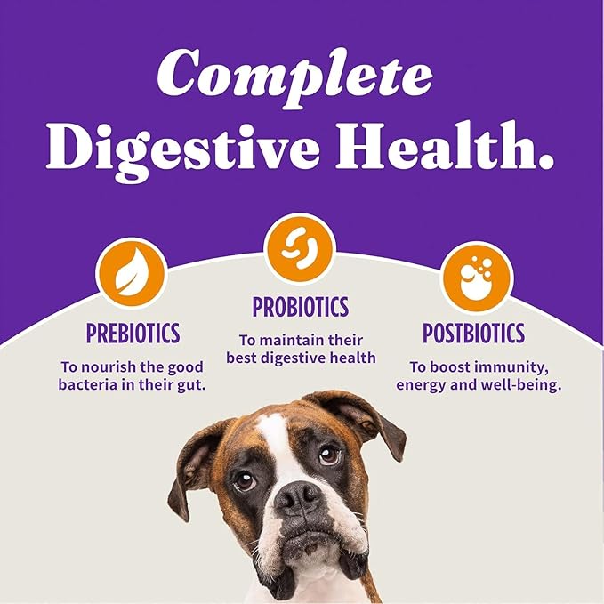 Halo Holistic Dog Food Cage Free Chicken & Brown Rice Formula, Healthy Grains Dry Dog Food, Complete Digestive Health, Kibble for Adult Dogs, 21 lb Bag