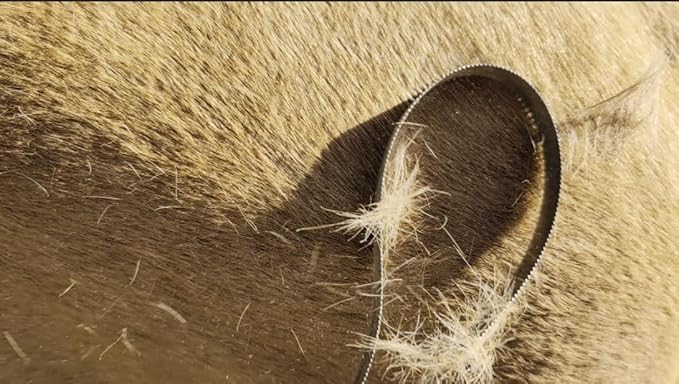 Dual-Sided Dog Shedding Blade - Stainless Steel Grooming Blade for Thick Coats Shedding Blade Horse Brush Scraper Double - sided serrated itching - relieving rake for cattle and horse hair