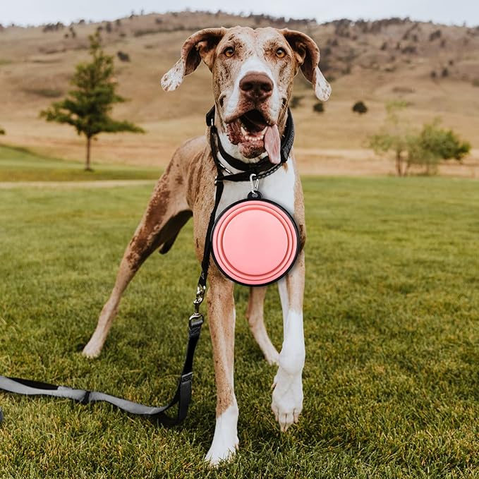 Collapsible Dog Bowls - 2 Pack Large Size for Large/Medium Dogs, Portable Travel Water Bowl with 2 Carabiners