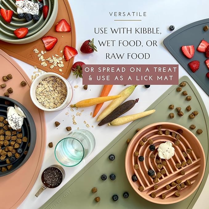 The Slowdown Bowl Silicone Slow Feeder for Dogs & Puppies, Slow Eating, Modern Lick Mat Design, Reduces Gulping, Fits 2.5 Cups 9.5” Across x 1.5” Tall, Mealtime Challenge, Large-Blush