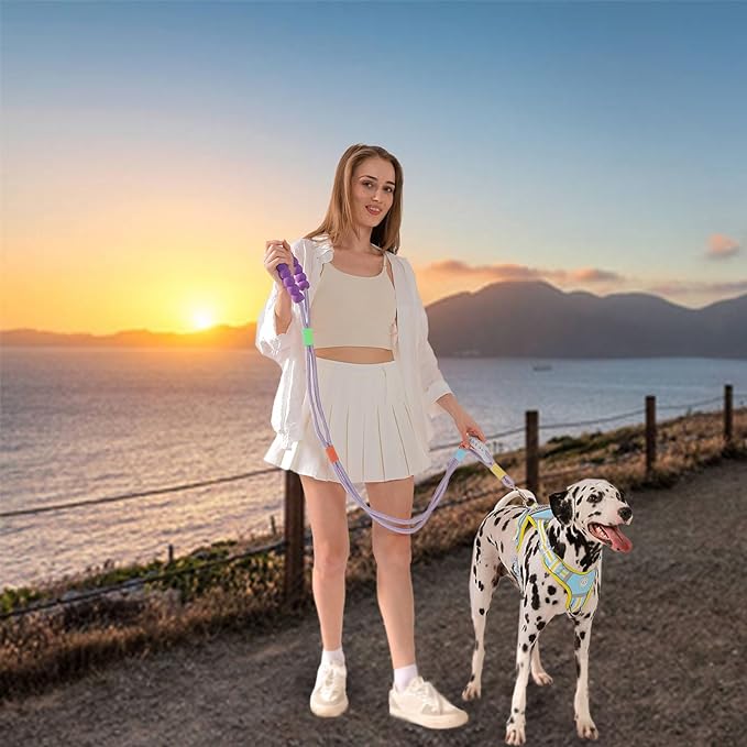 JSXD Dog Leash,5 FT Heavy Duty Dog Training Leash,Double Handle Comfortable Padded Hands Free Dog Leash,Adjustable Crossbody Waist Leash for Small Medium Large Dogs(Purple)