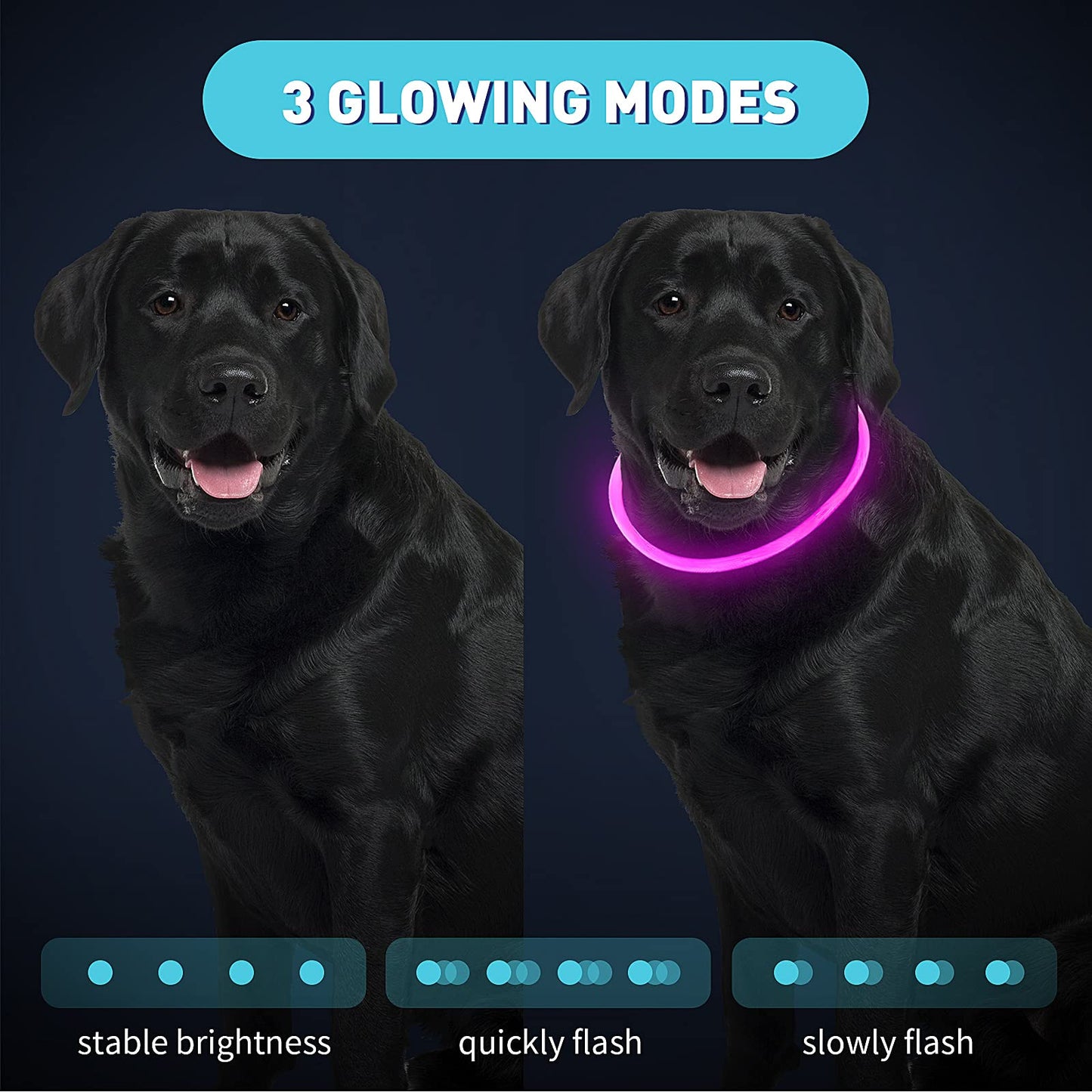 Frienda 4 Pcs Dog Collar LED USB Rechargeable Lights Dog Necklace Collars Doggy Lights for Night Walking Adjustable Safety Lamp Pet Collars for Large Medium Small Puppy(Classic Style,4 Colors)