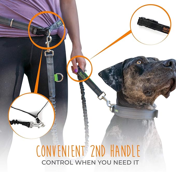 Mighty Paw Hands Free Dog Leash | Bungee Waist Leash for Dog Walking. Pet Running Hands Free Tether for Large, Medium & Small Breeds. Pet Waist Belt (36" - 48") Up to 150 lbs - Black