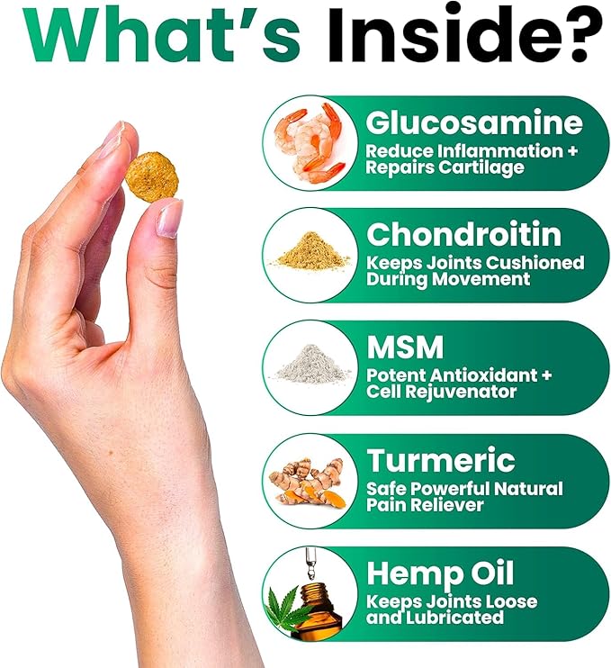 (2 Pack) Hemp Hip and Joint Supplement for Dogs - Glucosamine for Dogs - 340 Joint Pain Relief Treats - Chondroitin, MSM, Hemp Oil - Advanced Health Supplement - Mobility Support Chews - Made in USA