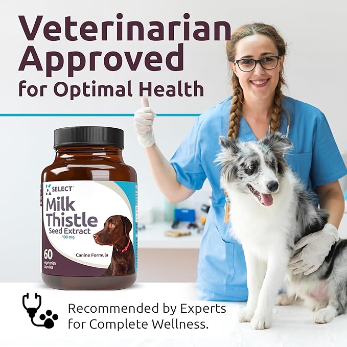 K9 Select Milk Thistle for Dogs, 100mg - 60 Vegetable Capsules - Canine Liver Health Milk Thistle Supplement - Milk Herbal