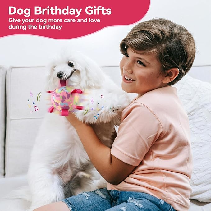 QDAN Interactive Dog Toys, Remote Control, Rechargeable Moving Dog Balls, Puppy Toys to Keep Them Busy, Squeaky Puppy Toys for Small Medium