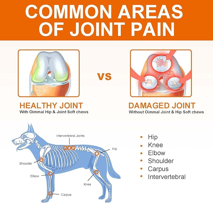 Hip and Joint Supplements Chews for Dogs, 30PCS Hip & Joint Care Tablets with Glucosamine, Chondroitin, Green-Lipped Mussels and Vitamins for Dog Joint Care (Duck Flavor)