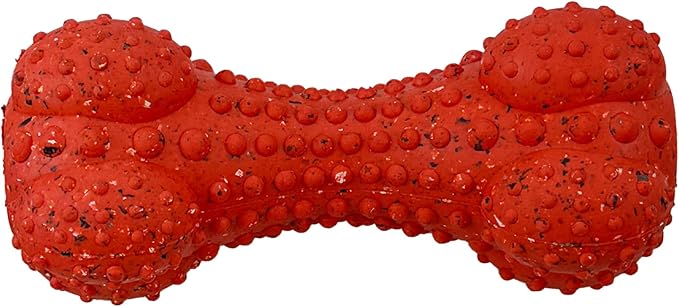 Max Fusion with Nike Grind, Arlee Rubber Bone Dog Toy, Chew Toy for Play, Fetch, Tug, M