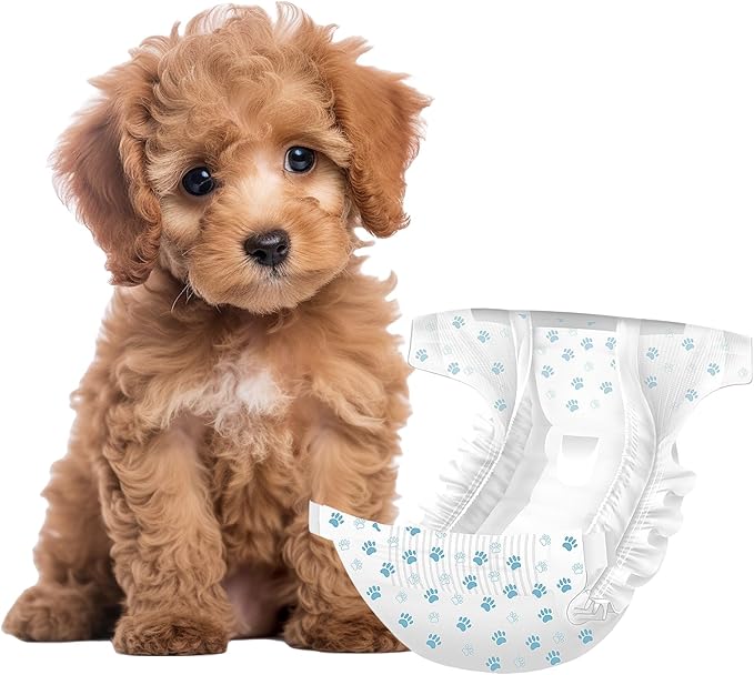 IMMCUTE Female Dog Diapers 30 Count,Super Absorbent Disposable Dog Diapers Female with Flash Dry & Leakproof, Doggie Diapers for Heat Cycle,Excitable Urination (X-Small)