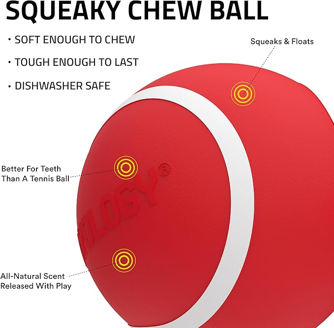 Playology Squeaky Dog Toy | Durable Rubber Interactive Dog Ball | Beef Scented Fetch Ball for Medium Dogs | Floating Dog Toy Made from Non Toxic Materials