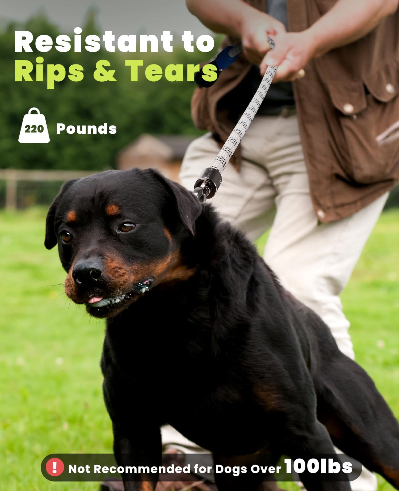 Light Up Dog Leash, LED Pet Leash for Night Walking,13 Lighting Modes, Rechargeable Dog Lights, Glow in The Dark Walking Leashes with Tangle-Free Hook for Small Medium Large Dogs - 4 Ft