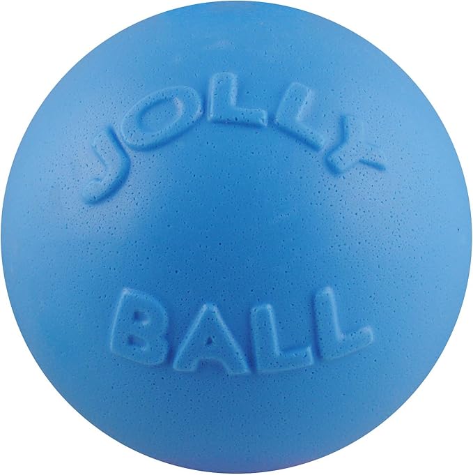 Jolly Pets Bounce-n-Play Dog Toy Ball, 8 Inches/Large, Blueberry, (Model: 2508 BB)