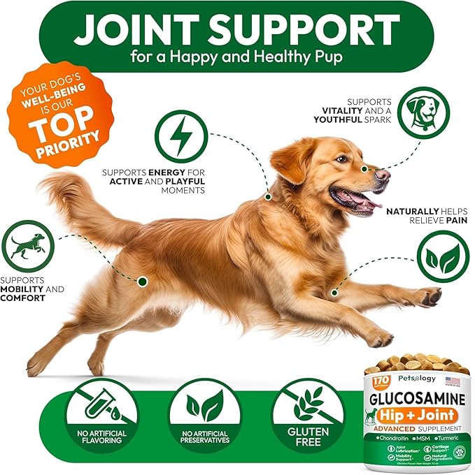 (2 Pack) Glucosamine for Dogs - 340 Mobility Chews - Advanced Hip and Joint Supplement for Dogs - Glucosamine Chondroitin - MSM - Joint Pain Relief - Made in USA