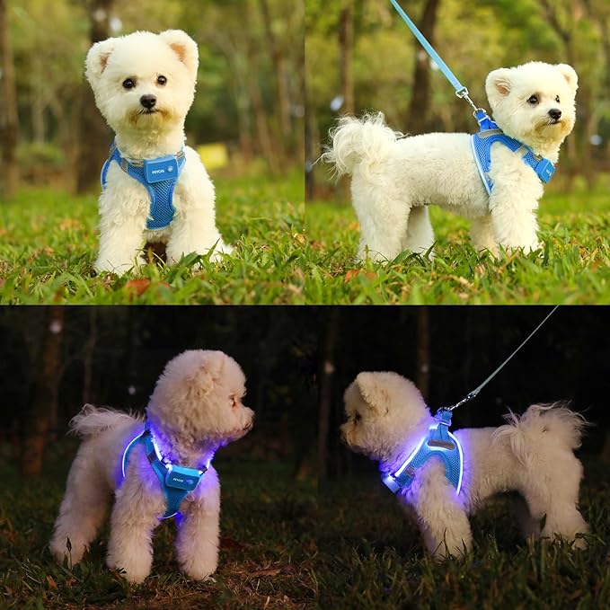 Light Up Dog Harness,Rechargeable LED Dog Harness for Small Medium Large Dogs,Reflective Lighted Safety Vest for Night Walking & Camping,Lightweight & Adjustable,Sky Blue,M