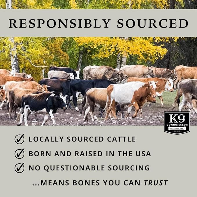 K9 Connoisseur Beef Marrow Dog Bones Long Lasting for Aggressive Chewers - USA Made Single Ingredient Dynamo Bone for Small and Medium Dogs Upto 50 Pounds - 6 Pack
