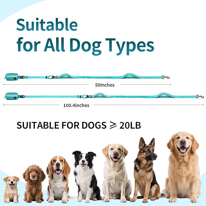 Hands Free Dog Leash with Removable Zipper Pouch, Dual Padded Handles and Durable Bungee for Walking, Jogging and Running Green