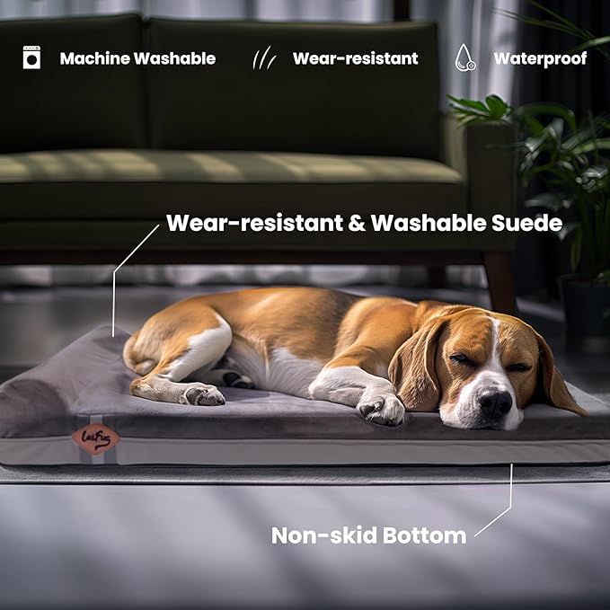 Laifug Orthopedic Memory Foam Dog Bed with Pillow and Durable Water Proof Liner & Removable Washable Cover & Smart Design Medium (34"x22"x5.5"), Grey