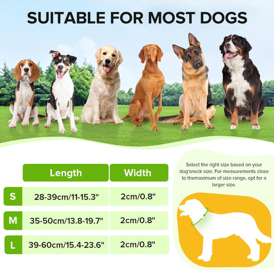 Jewyow Light Up Dog Collar, Adjustable USB Rechargeable Glow in Dark Dog Collar ，Waterproof Dog Collars for Small Dogs (Green, Small)