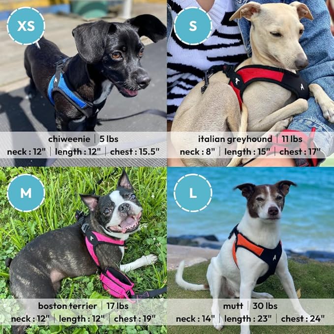 Gooby Escape Free Easy Fit Harness - Red, X-Small - No Pull Step-in Patented Small Dog Harness with Quick Release Buckle - Perfect On The Go No Pull Harness for Small Dogs or Medium Dog Harness