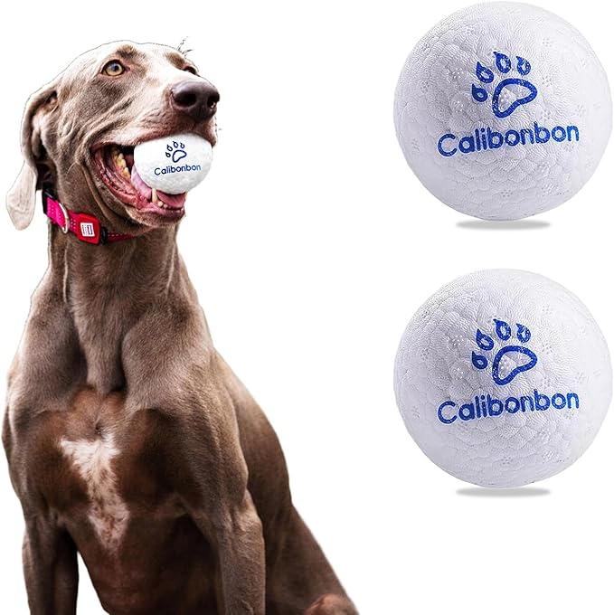 Durable Dog Chew Herding Balls - Indestructible Tennis Balls for Medium & Small Dogs -Teething Toys for Puppies -Interactive Bouncy Fetch Water Toys
