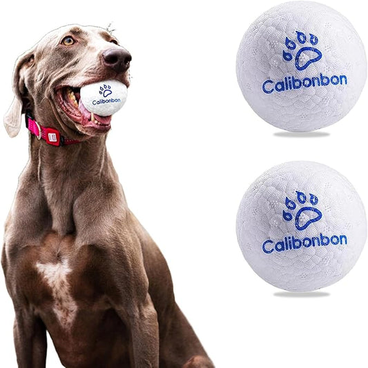Durable Dog Chew Herding Balls - Indestructible Tennis Balls for Medium & Small Dogs -Teething Toys for Puppies -Interactive Bouncy Fetch Water Toys