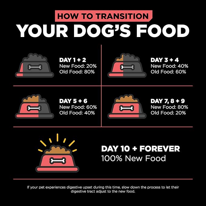 Go! Solutions Carnivore, Grain-Free, Protein Rich Dry Dog Food, Salmon and Cod Recipe, 12 lb Bag