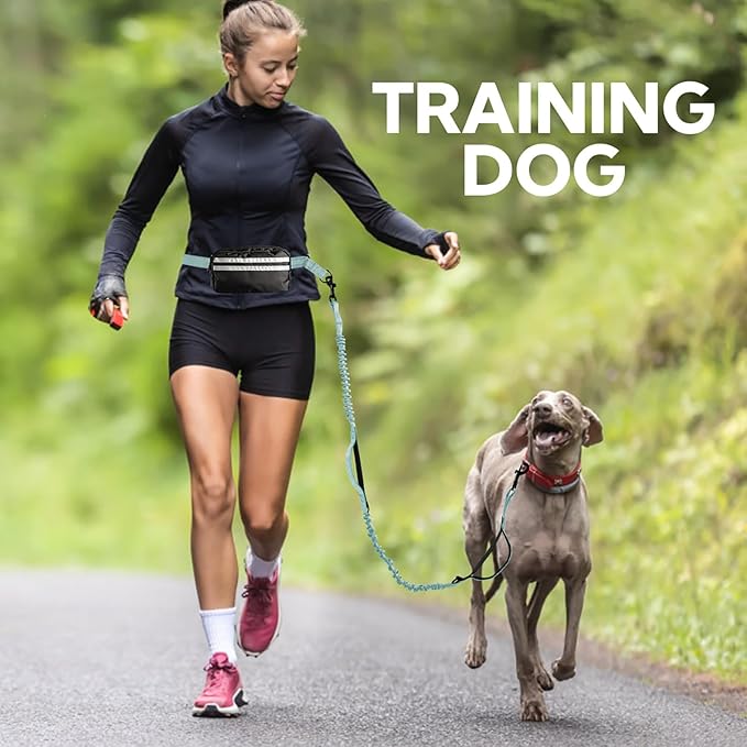 Hands Free Dog Leash with Pouch, Double Leash for Two Dogs, Retractable Bungee with Double Padded Handles, Dog Waist for Dog Walking, Running for Dogs, Dog Walking Accessories