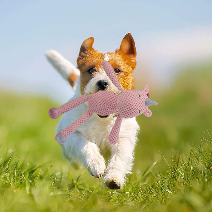 GOOLA Squeaky Dog Toys - Durable Plush Toys with Squeaker & Crinkle Paper, Unicorn Themed Pack for Puppy to Large Dogs