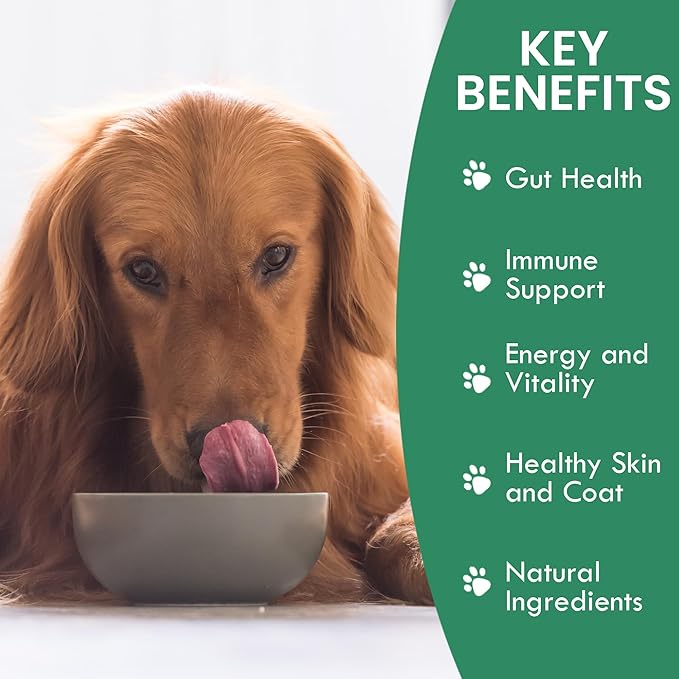 HOLISTIC BIN Canine Powderized Beef Bone Broth – Protein Powder for Endurance & Longevity – Nutritious Dog Enrichment for Energy & Wellness – Premium Beef Protein Supplement - 50 Grams