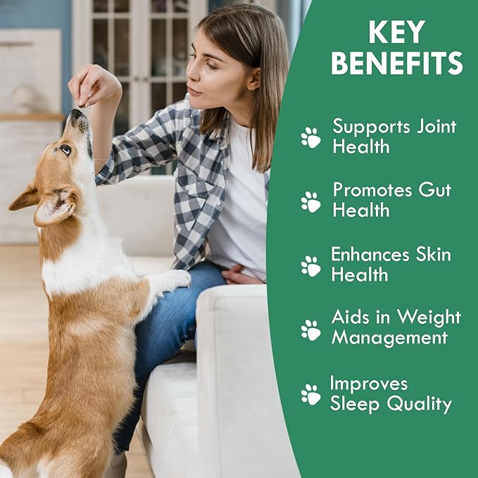 Holistic Bin Canine Chicken Bone Broth Protein Powder for Bone, Muscle & Joint Health - Nutrient-Rich Supplement for Dogs, Supports Mobility & Recovery, Grain-Free & Easy to Digest - 50 Grams