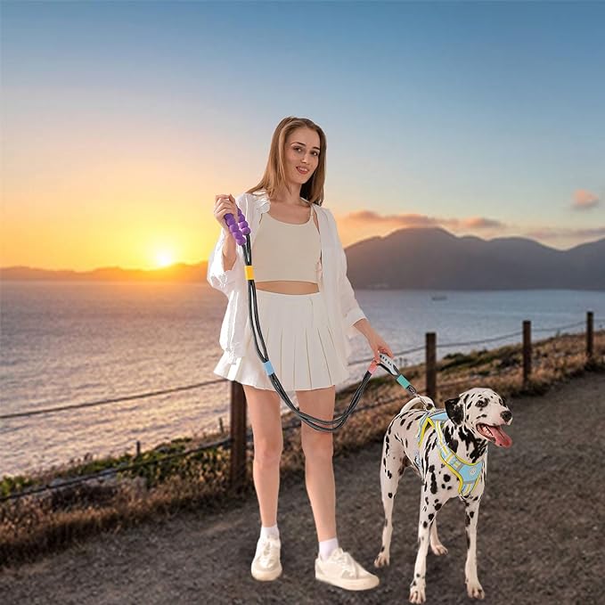 JSXD Dog Leash,5 FT Heavy Duty Dog Training Leash,Double Handle Comfortable Padded Hands Free Dog Leash,Adjustable Crossbody Waist Leash for Small Medium Large Dogs(Black)