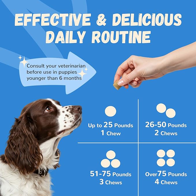 Furrolika Hip and Joint Supplement for Dogs – Made in The USA – Glucosamine, Chondroitin, MSM, Vitamin C – Chewable Joint Support for Mobility & Comfort – Beef Flavor – 60 Soft Chews