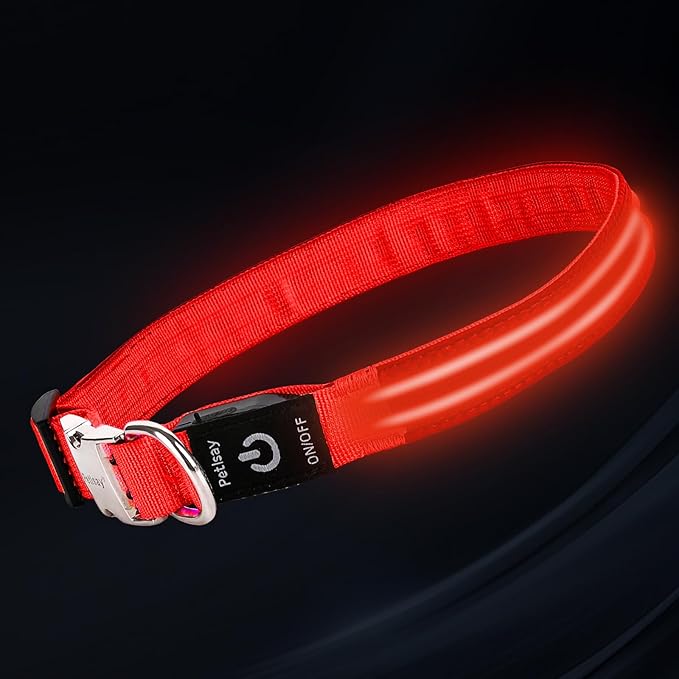 LED Dog Collar with Metal Buckle - USB Rechargeable Glow Collar for Dogs, Waterproof Light Up Dog Collar w/Reflective Strips - Adjustable Night Safety Collars by PetIsay(Red,Medium)