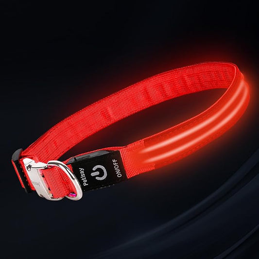 LED Dog Collar with Metal Buckle - USB Rechargeable Glow Collar for Dogs, Waterproof Light Up Dog Collar w/Reflective Strips - Adjustable Night Safety Collars by PetIsay(Red,Medium)