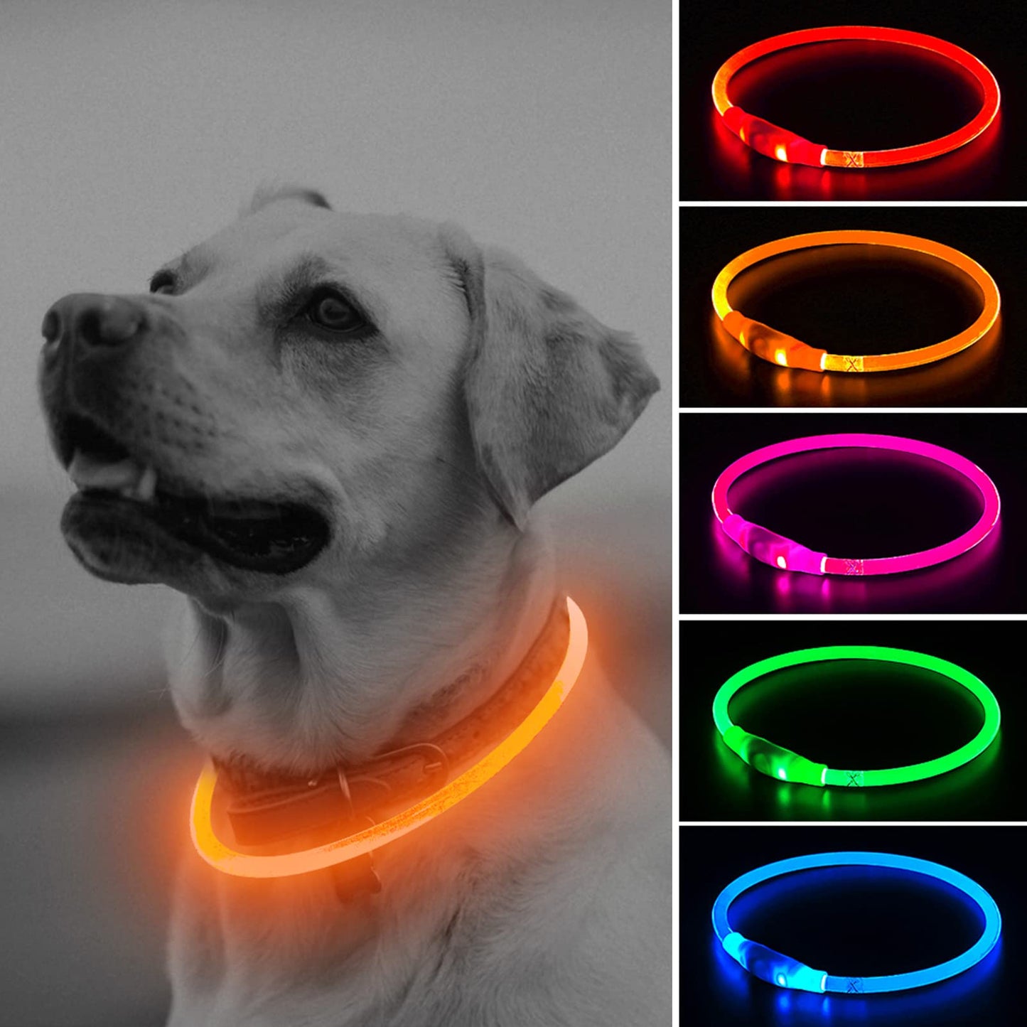 Illumifun LED Dog Collar, USB Rechargeable Light Up Dog Collars, TPU Cuttable Glow Dog Collar Lights for Night Walking (Orange)