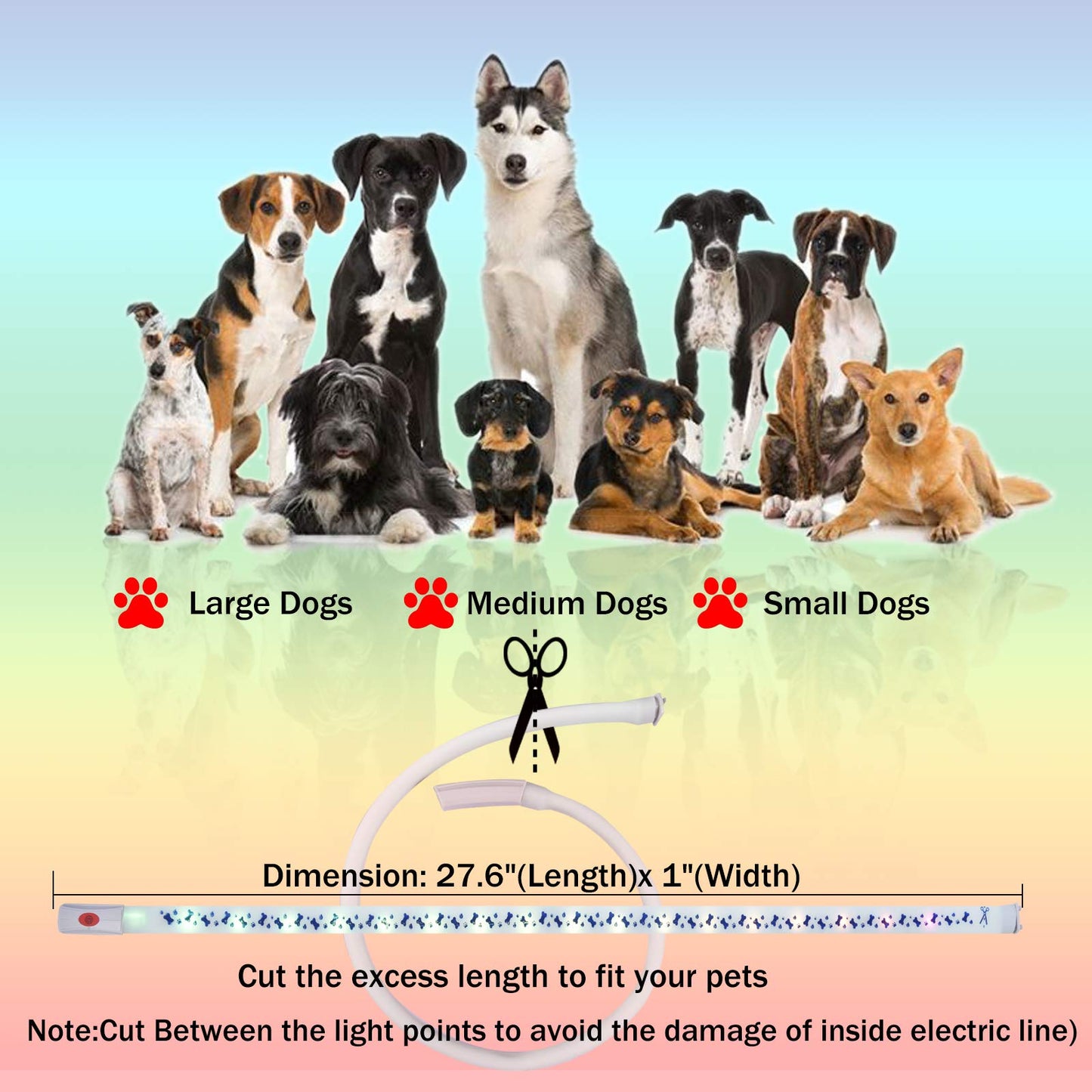 LED Dog Collar - Color Changeable Light Up Dog Collars USB Rechargeable,15 Light Effects Glow in The Dark Collar Weatherproof Fits for Small Medium Large Dog,Keep Your Pets Seen Safety High Visibility