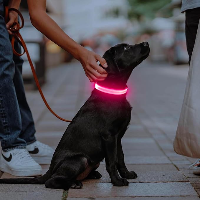 Illumifun LED Dog Collar, USB Rechargeable Light Up Dog Collars, Waterproof Adjustable Safety Collar Light for Small Dogs Walking at Night (Pink, Small)