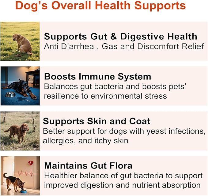 Probiotics for Dogs, Dog Probiotics for Digestive Health and Itchy Skin with 7 Enzymes & 2 Prebiotics. Pet Probiotics lab - Helps Diarrhea, Yeast Infection, Allergies & Immune System -180ct