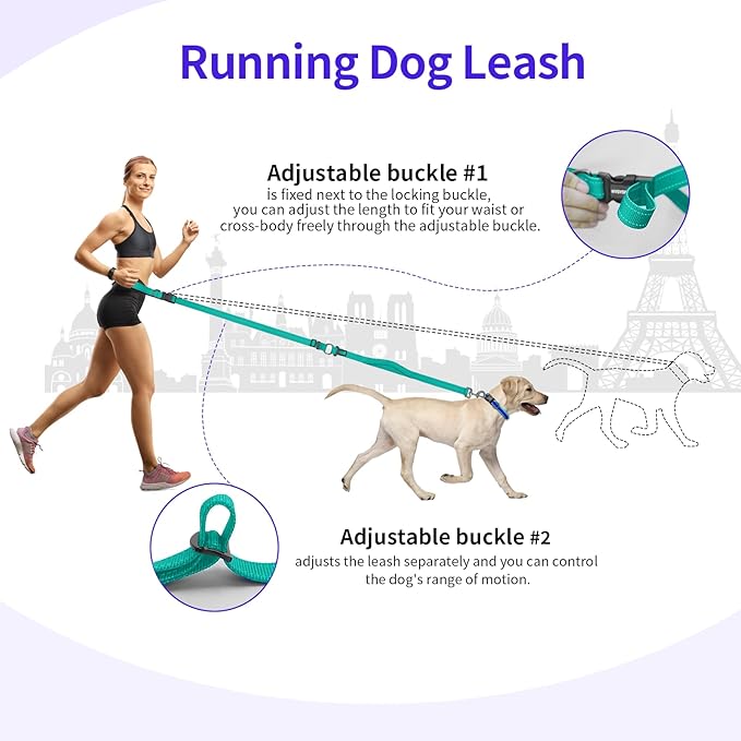 Hands-Free Dog Leash with Adjustable Length 6-9FT + Dual Padded Handles Reflective Safety for Walking, Jogging & Training | Suitable for Medium to Large Dogs & Puppies Green-L