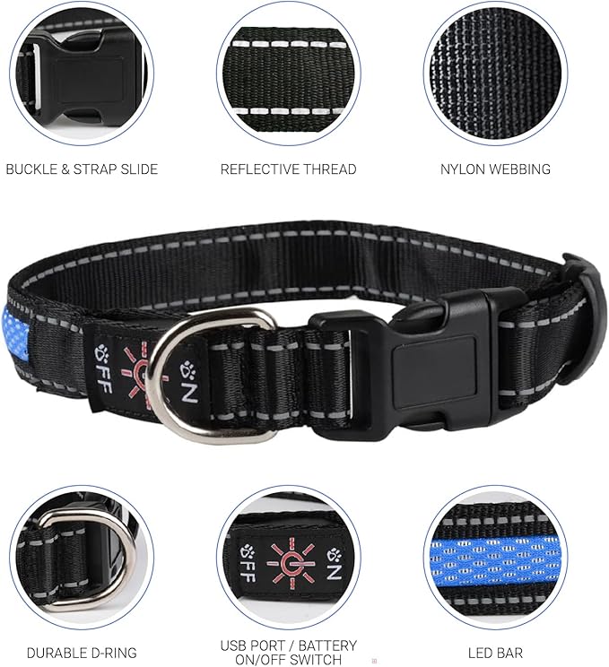 LED Dog Collar with Tracker Case - Bright Weatherproof Light Up Safety Collar, Silicone Tracker Holder, USB-C Rechargeable & Adjustable for Small, Medium & Large Dogs (Multicolor, Medium)