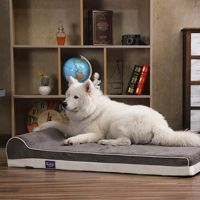 Laifug Orthopedic Memory Foam Dog Bed with Pillow and Durable Water Proof Liner & Removable Washable Cover & Smart Design Medium (34"x22"x7"), Slate Grey