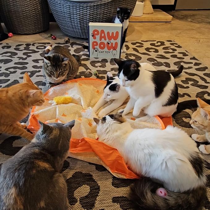 Pounce Mat Interactive Cat Toy – Indoor Hunting Game by Paw Paw | Hide & Seek Moving Ball, Motion-Activated Rolling Ball with Bunny Ears & Mouse Tail, 2-in-1 Play Mat