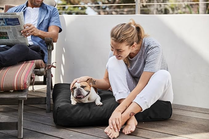 K9 Ballistics Tough Rectangle Pillow Medium Dog Bed - Removable Cover, Washable, Durable & Water Resistant Dog Bed Made for Medium Dogs 33"x27", Obsidian Black