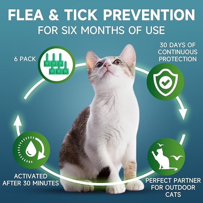 Flea Treatment for Cat Flea and Tick Prevention for Cats Kitten, 6-Month Supply, Cat Flea Treatment & Control, Repellent, Fast Acting Topical Drops for Cats, Over 1.5 lbs, 24-Hour Protect