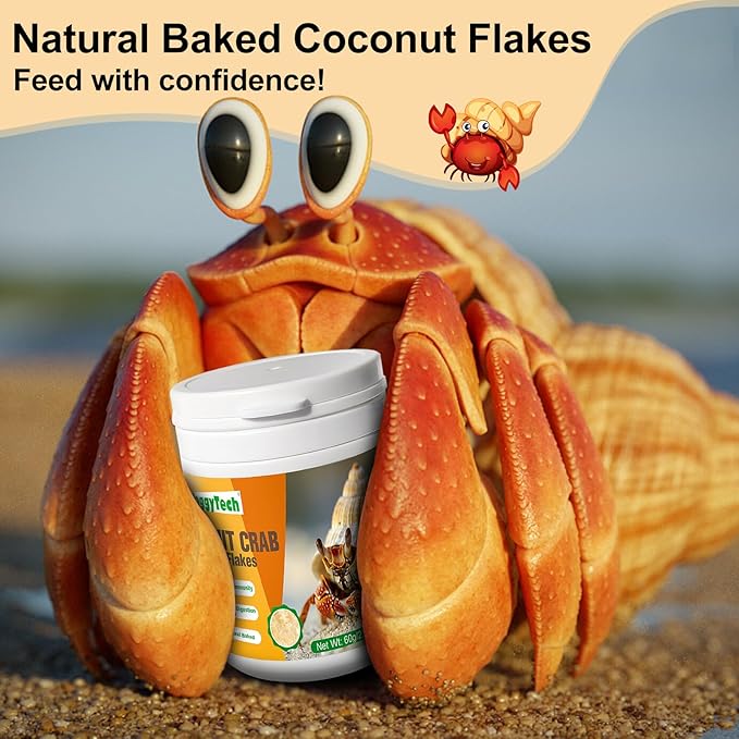 Hermit Crab Food - Baked Coconut Treat, Natural Dried Coconut for Crab Healthy & Additive Free, Easily Digestible Hermit Food Hermit - Ideal Crab Pet Snacks, Crab Accessories Crispy & Delicious | 60g