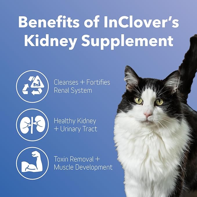 InClover Kidney – Bladder and Urinary Health Supplement for Dogs & Cats - with Resveratrol (Found in Cranberries), L-Carnitine & D-Mannose – Supports a Healthy Urinary Tract and Optimal Renal Function