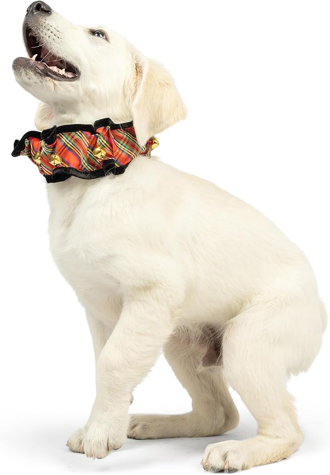 Huxley & Kent Ruff Pet Scrunchy | Shiny Christmas Plaid (Extra-Large) | Festive Christmas/Holiday Neckwear for Dogs/Cats | Fun Stretchable Costume Accessory | Soft Collar with Bells
