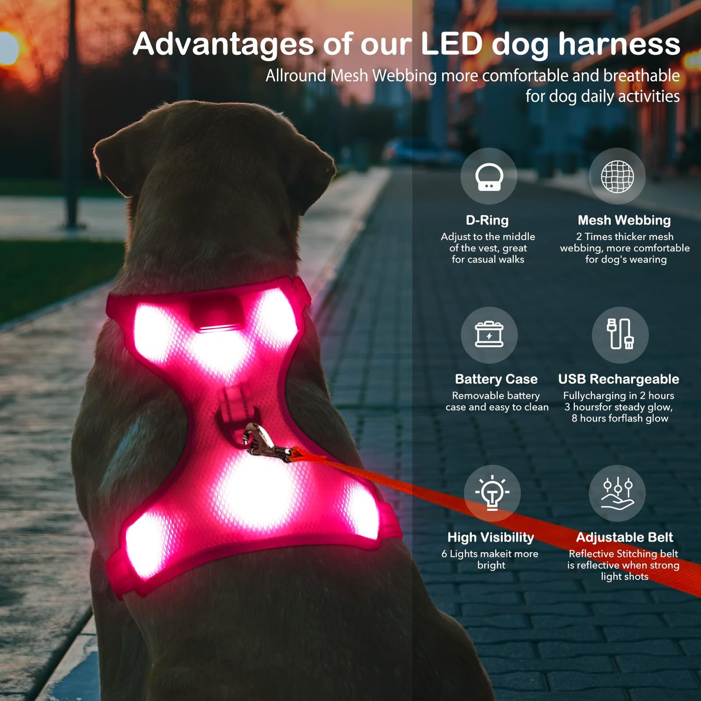 BSEEN Light Up Dog Harness - No Pull LED Dog Harness Rechargeable Glow in The Dark Lighted Pet Safety Vest for Small Medium Large Dogs, Flashing Dog Lights for Night Walking (Pink, Medium)